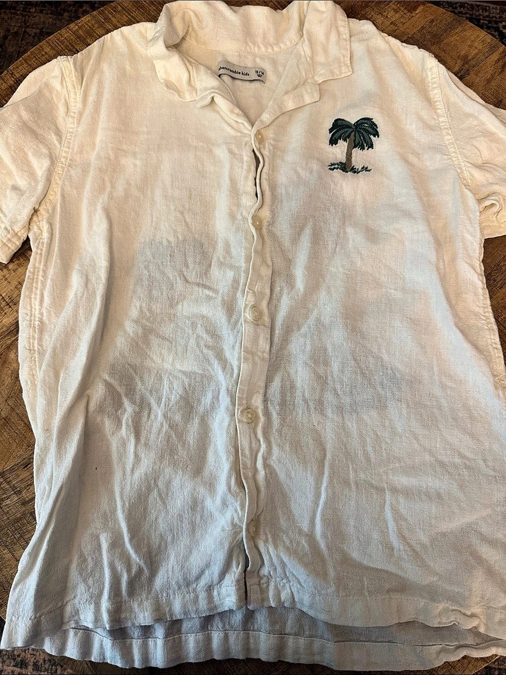 Abercrombie Kids Palm Tree Embroidered Button Down Boys 13/14